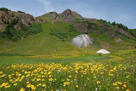 Mineral Basin Summer Landscape Photograph by Cascade Colors - Fine Art America