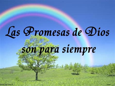 Promesa De Dios Para Hoy 1 Reyes 08 56