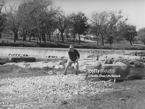 Lyndon Johnson Ranch Photos and Premium High Res Pictures - Getty Images