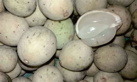 duku fruit tropical fruit  indonesia   sweet  delicious
