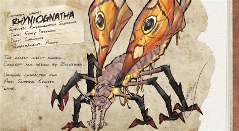 My Lost Island Creature Submission! Rhyniognatha - The Oldest Insect ...