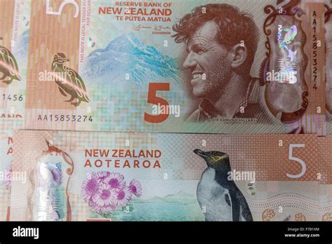 New Updated 5 Five Kiwi Dollar New Zealand Plastic Polymer Bank Notes