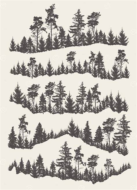 Forest Landscape Of A Pine Forest Stock Illustration Illustration Of