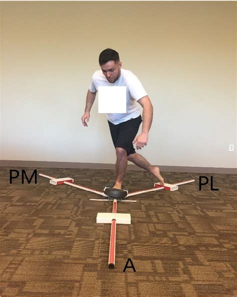 Figure 2 From Lower Extremity And Trunk Electromyographic Muscle