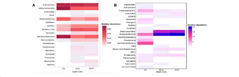 Taxonomic Relative Abundances Of A Metagenome Contigs With Both