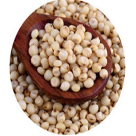 Common Purity Percent Rich Natural Fine Taste Healthy Dried White