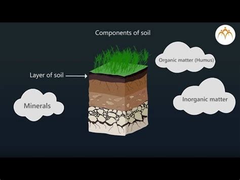 Renewable Resources Soil