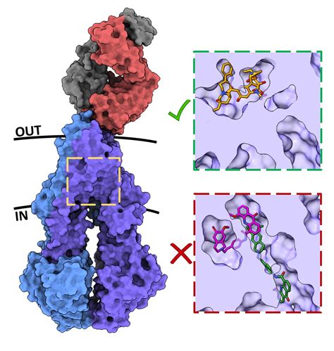 Cryo EM Structures Reveal Distinct Mechanisms Of Inhibition Of The