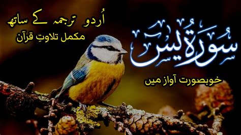 Surah Yaseen Urdu Tarjuma Ke Sath Quran Kareem Tilawat Beautiful