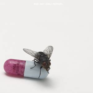 G1 Red Hot Chili Peppers divulga capa de novo disco notícias em Rock in Rio 2011