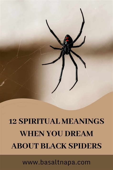 Spiritual Meanings When You Dream About Black Spiders Spiritual