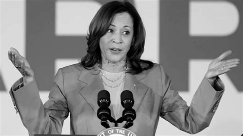 Mxm News Cnn Report Kamala Harris Campaign Is Spreading