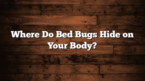 Where Do Bed Bugs Hide On Your Body Reviewsvid