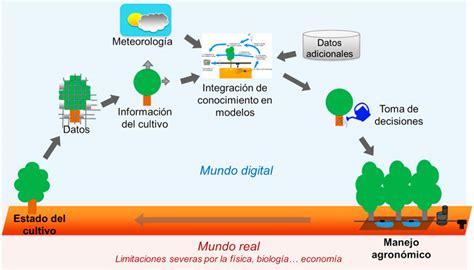 Ciencia Y Tecnologías Para El Uso Eficiente Del Agua En La Agricultura