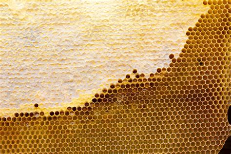 Honeycomb With A Honey Texture Background Texture And Drawing Of A