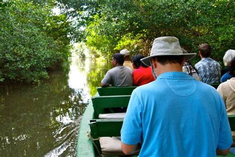 On Site Trinidad Serene Safari Meets Amazing Avian Spectacle At The