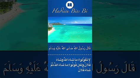 Hadith Du Jour Shorts Short Religion Mouride Voile Islam Hadith