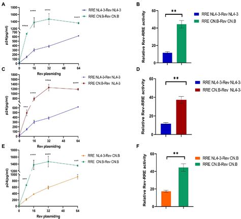 Frontiers Limited Nucleotide Changes Of Hiv Subtype B Rev Response