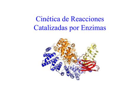 Cin Tica De Reacciones Catalizadas Por Enzimas