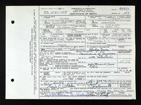 Where did they go?: Pennsylvania death certificates, no. 2. | Black