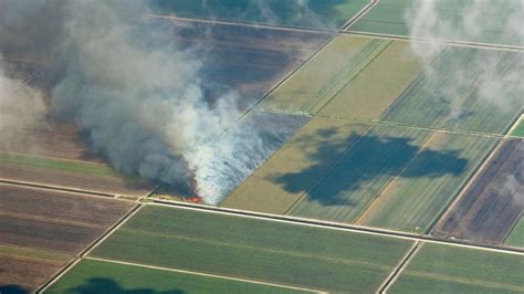 Burning sugar cane pollutes communities of color in Florida. Brazil ...