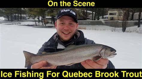 On The Scene Ice Fishing For Quebec Brook Trout Pautzke Bait Co