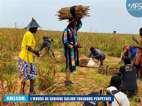 Images Khelcom L Uvre De Serigne Saliou Toujours Perp Tu E