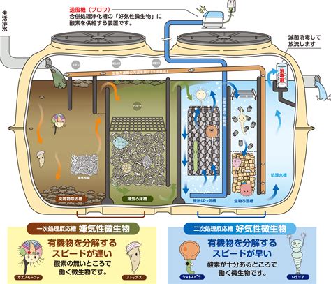 浄化槽の仕組み 浄化槽法定検査センター