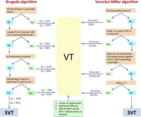 Wide Complex Tachycardia Cardiac Electrophysiology Clinics