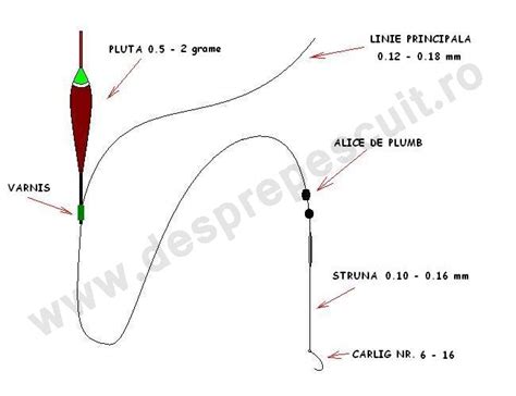 Montura De Pescuit Cu Pluta Fixa Pentru Pescuitul La Caras