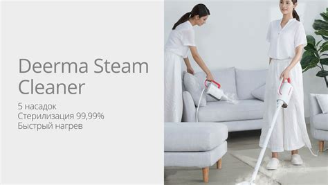 Купить Мультифункциональный пароочиститель Deerma Steam Cleaner DEM ...