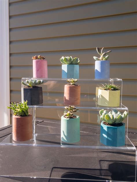 Succulent Pots With Succulents Succulent Set With Pots - Etsy