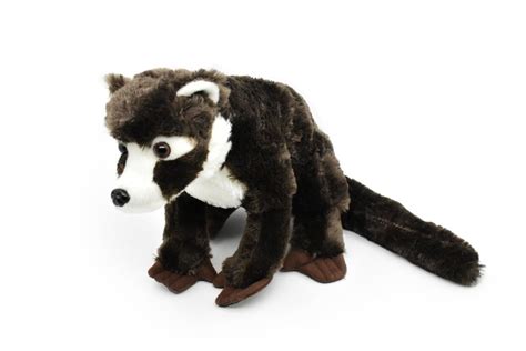 Coatimundi, Coati, Realistic Cute Stuffed Animal Plush Toy Kids ...