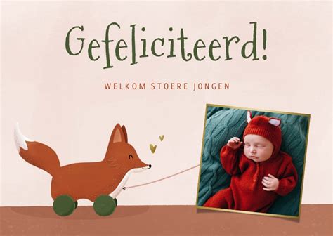 Felicitatiekaartje Geboorte Met Vosje Kaartje Go