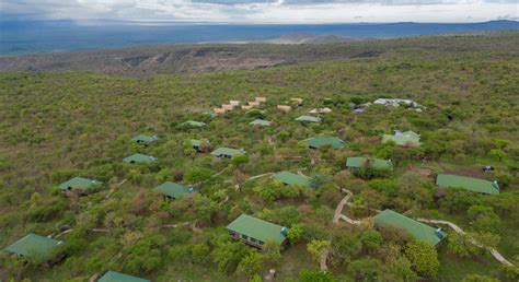 Ngorongoro Wild Camp By Tanzania Wild Camps Tanzania Specialist