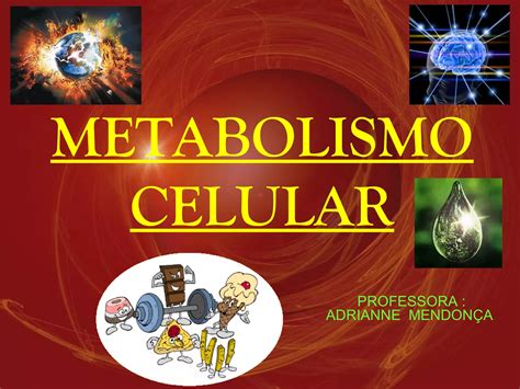 Metabolismo Celular Completo Ppt