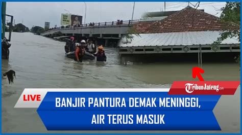 Live Banjir Pantura Demak Meninggi Air Terus Masuk Youtube