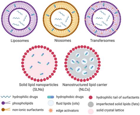 Schematic Presentation Of Different Lipid Nanocarriers Reproduced With