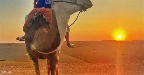 Marrakech Quads Camels On Sunset And Romantic Dinner With Show Klook