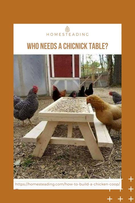 33 Homesteading Humor Ideas Homesteading Humor Homesteading Blogs