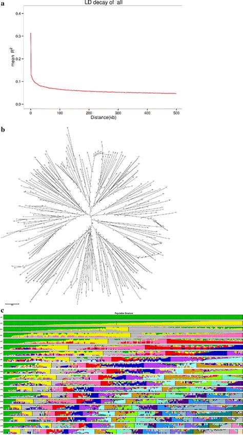 Genetic Diversity And Population Structure Of 199 Accessions A Linkage