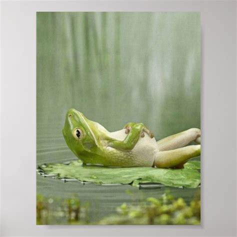 Lazy Frog Poster