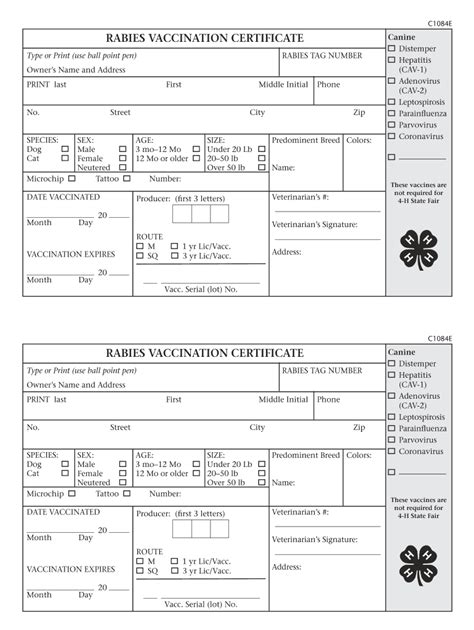 Best Dog Vaccination Certificate Template – Sparklingstemware