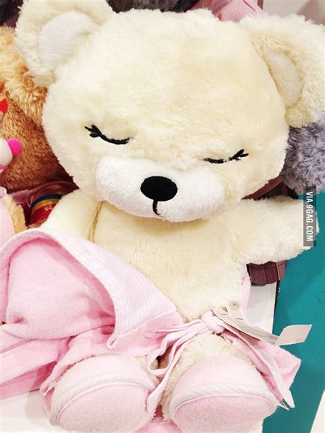 Horny Bear Is Horny 9GAG