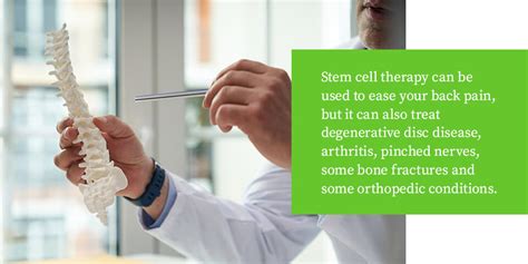 How Can Stem Cell Treatment Help With Back Pain Spineina