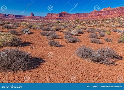 Estrada Parque Branca Nacional Da Borda De Ut Canyonlands Imagem De