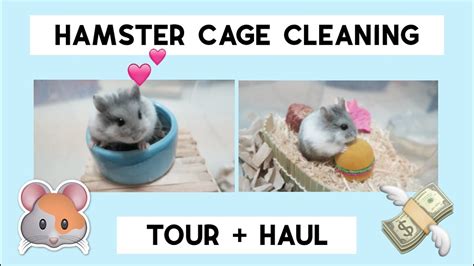 Hamster Cage Cleaning And Tour Haul Youtube