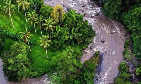 Rafting Sungai Ayung Spot Arum Jeram Favorit Di Ubud Bali De Bali