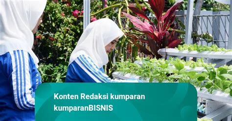 Bri Buat Program Bri Peduli Bertani Di Kota Brinita Apa Itu