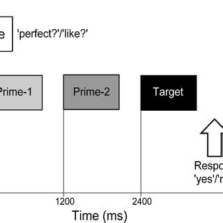 Trial structure. At the start and end of each trial, participants see ...